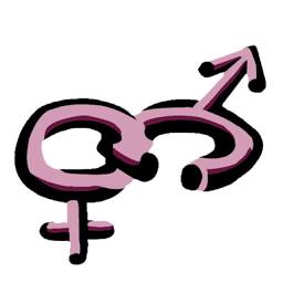 Gender Links Zimbabwe
